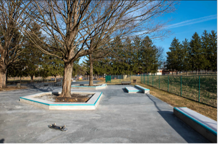 A picture of a concrete skatepark that is built around trees