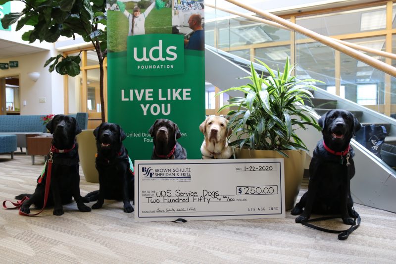 Service dogs sit in front of a sign that says "UDS". A check for $250 is in front of them. The dogs are adorable.