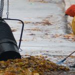 photos of a large leaf blower