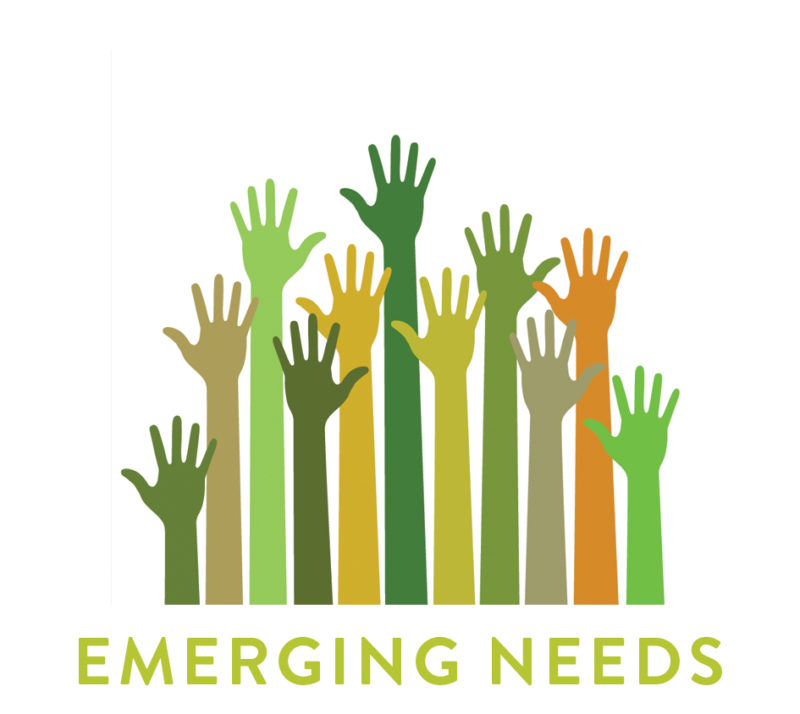 Emerging Needs website pic art