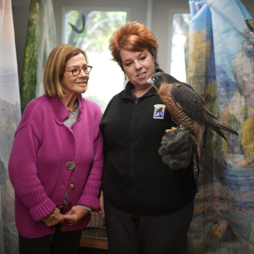 LCCF Fundholders & Legacy Givers Images