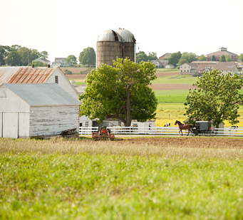 Photo of farm
